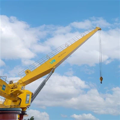 50 ton sabit bom vinç